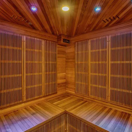 Des Albizzias * ラ・テスト・ド・ビュシュ