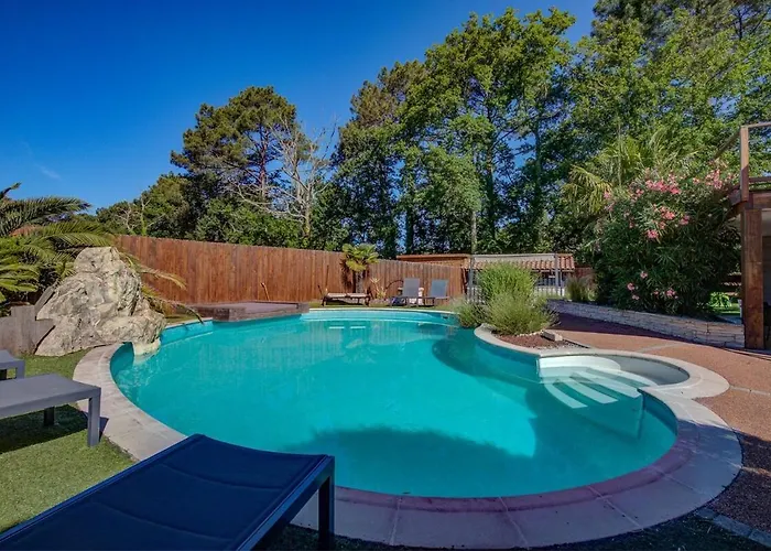 Des Albizzias La Teste-de-Buch